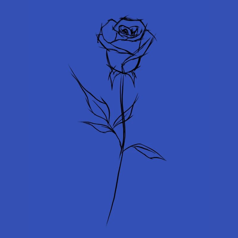 Rose "schwarz"
