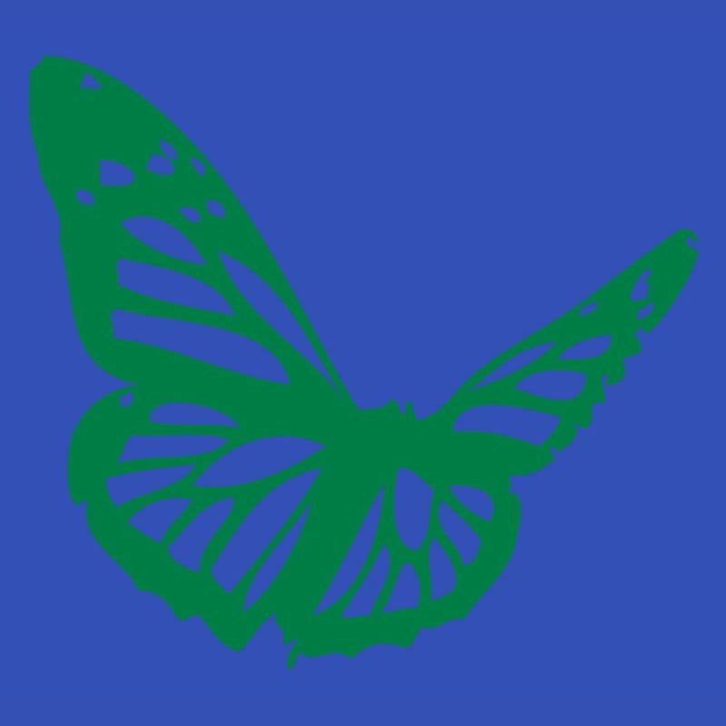 papillon_vert