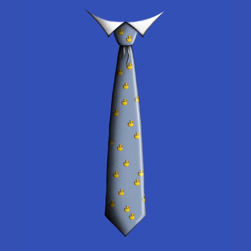 Tie with ducks