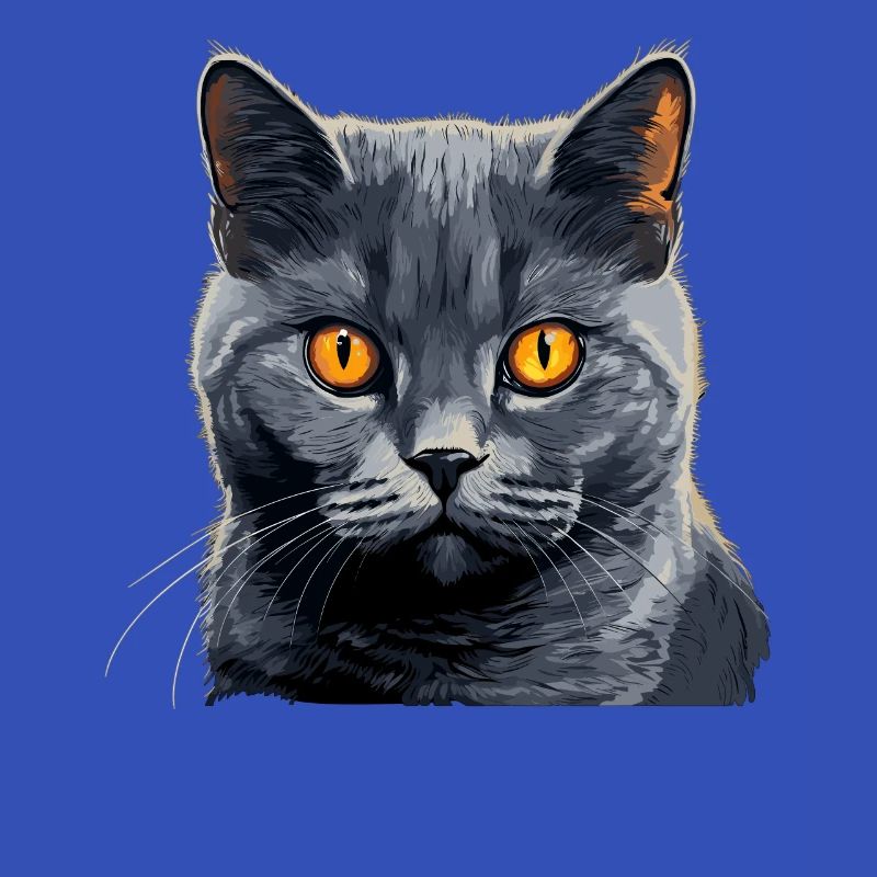 Chartreux Cat Kartäuser Katze