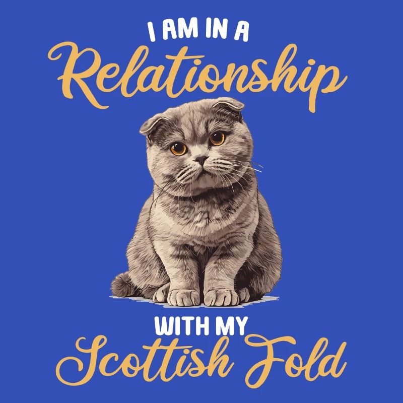 Scottish Fold Kitten Scottish Fold Cat
