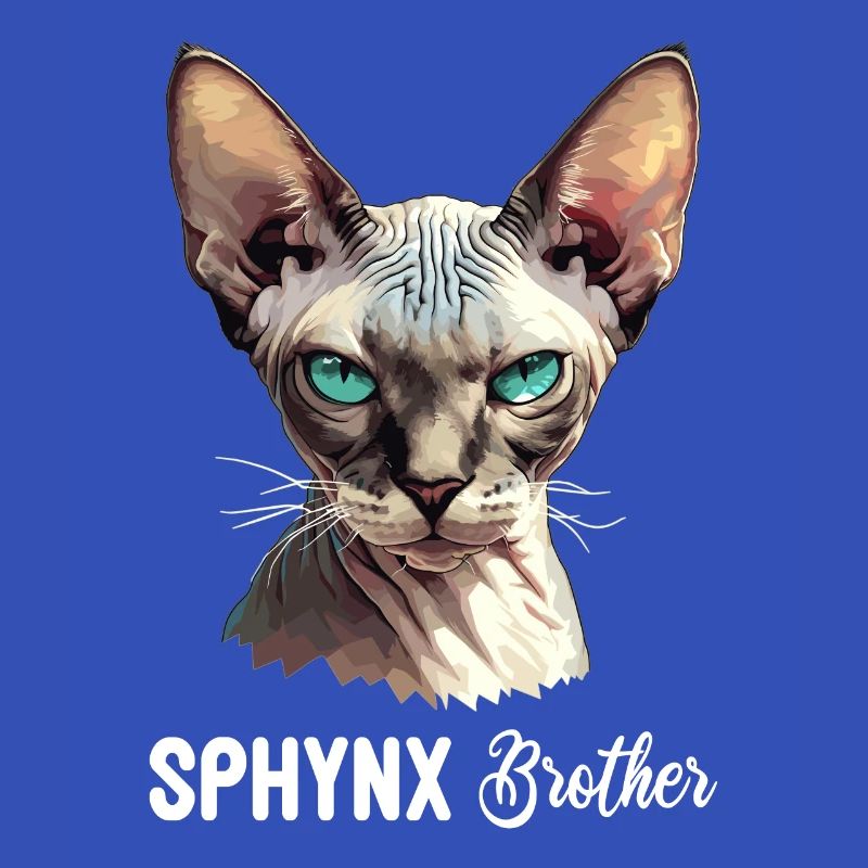 Sphynx Kätzchen Sphynx Katze