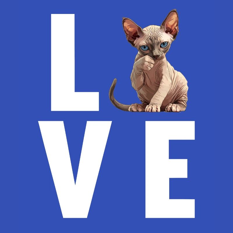 Sphynx Kätzchen Sphynx Katze