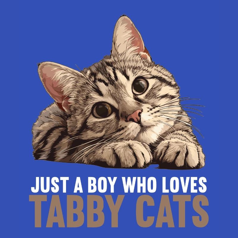 Tabby Kätzchen Tabby Katze