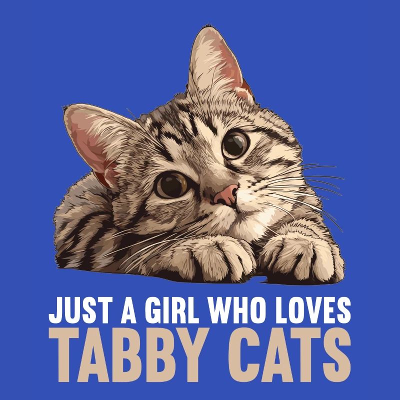 Tabby Kätzchen Tabby Katze