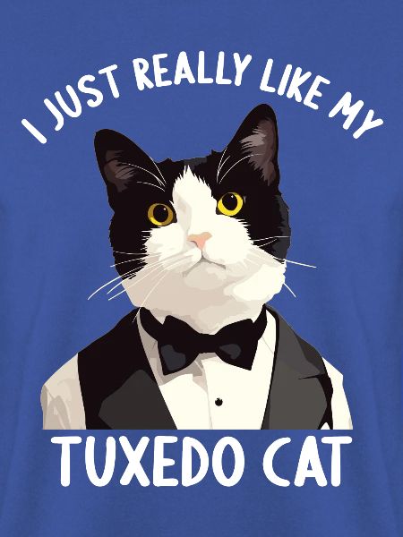 Tuxedo Kätzchen Tuxedo Katze