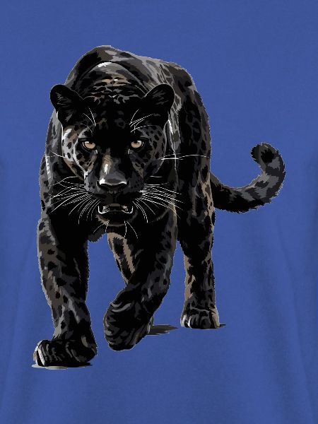 Panthers Panther