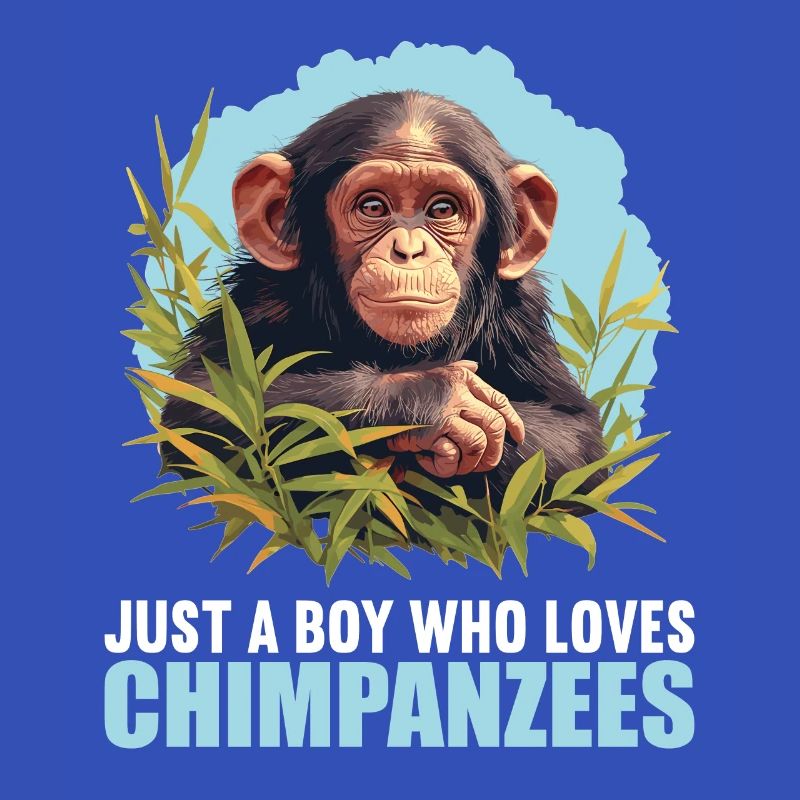 Chimpanzee Schimpansen Schimpanse