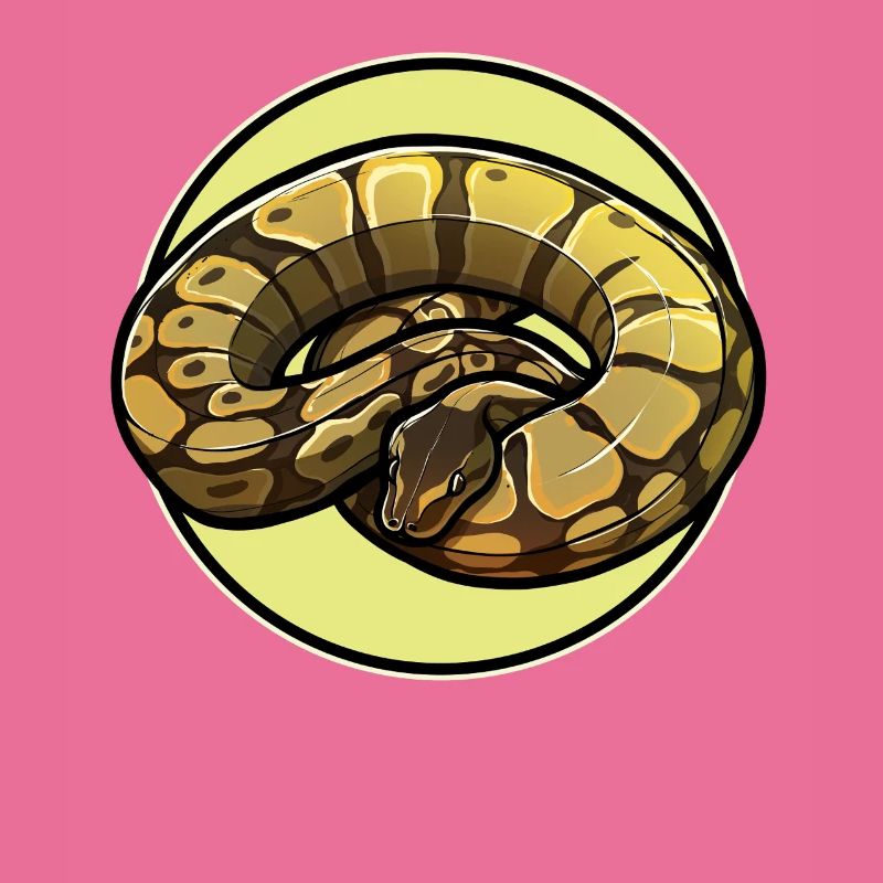 Ball Python Roi Python Roi Python