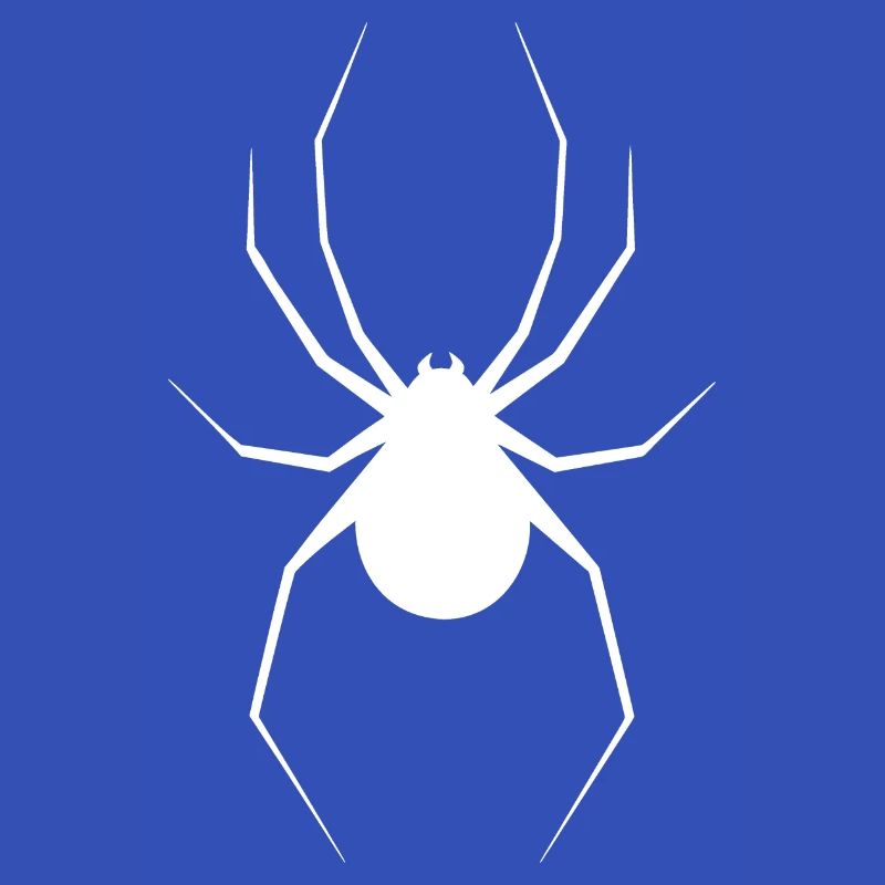 Spinne