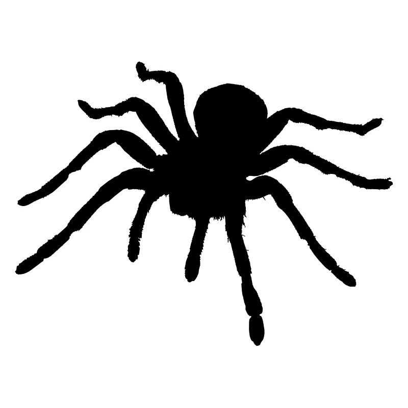 Spiders rampants