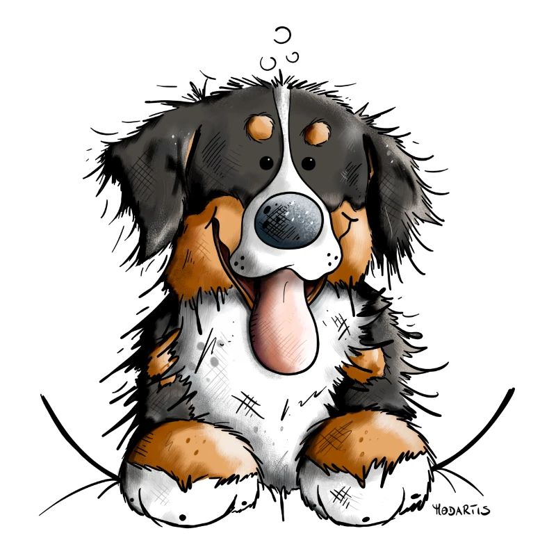 Glücklicher Berner Sennenhund