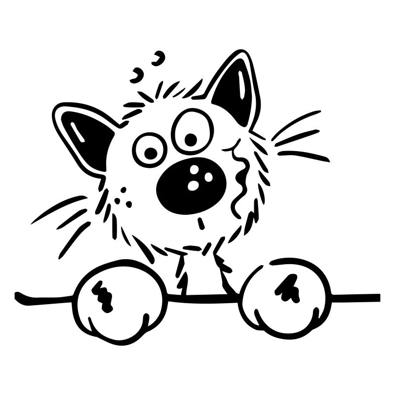 Neugierige Katze
