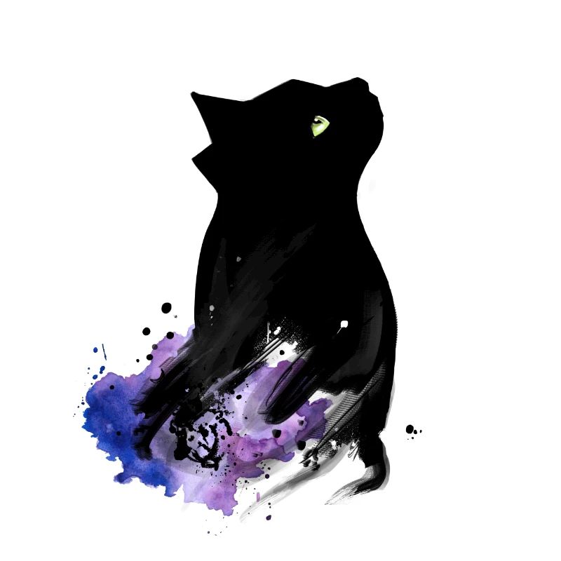 Black Cat