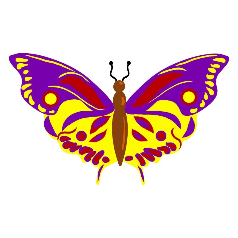 Vol de Papillon multicolore
