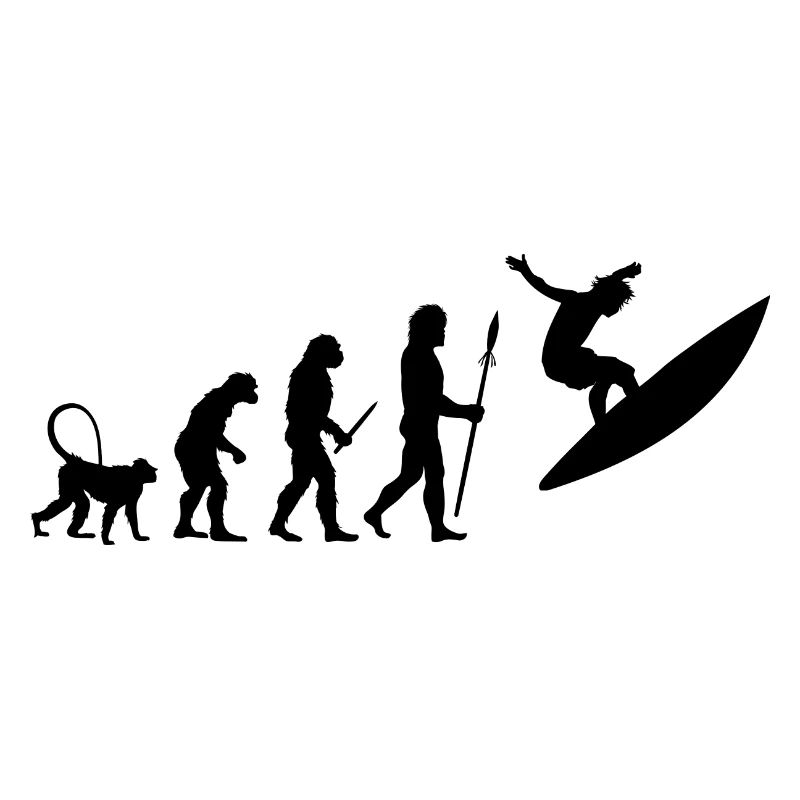 Entwicklung eines Surfers