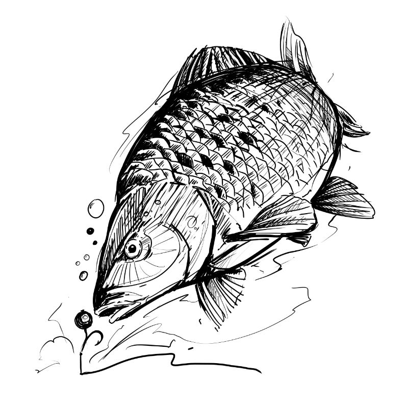 Fisch des Lebens! - Angeltshirt Karpfen