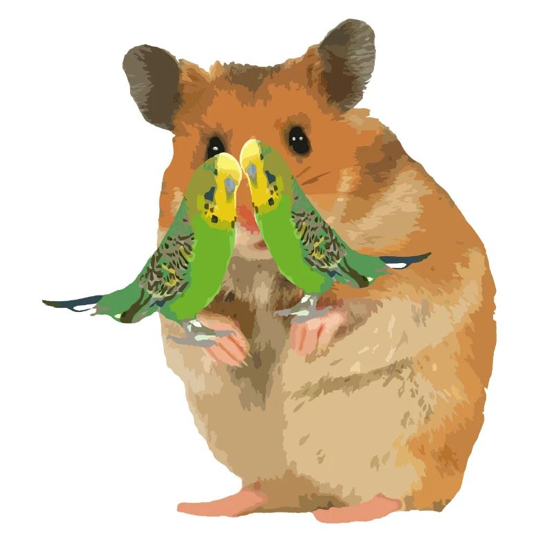Hamster Menno with two Wellis