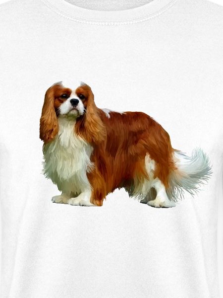Cavalier King Charles Spaniel
