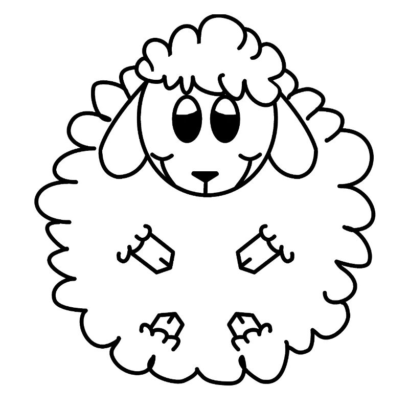 Merinoschaf 
