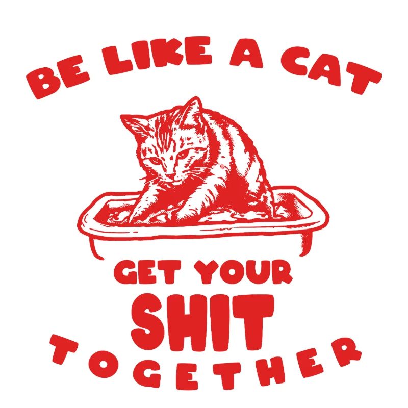 Devise du chat : Reprends-toi