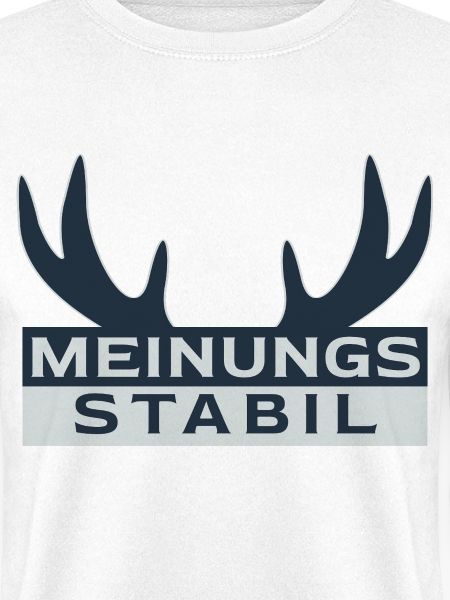 meinungsstabil Dickkopf Sturkopf Sturschädel stur