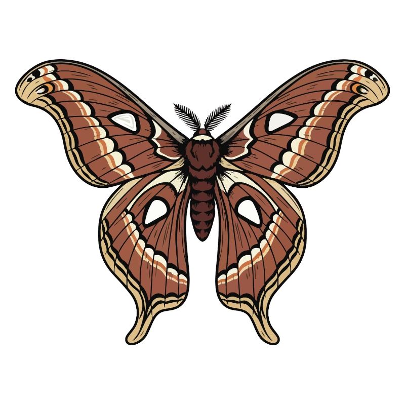 Papillon Polypheme Moth Saturnie Wing Tattoo