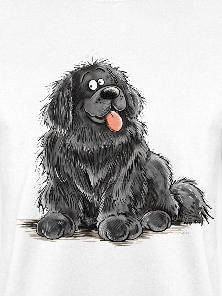 Neufundländer Hund Schwarz Newfie Hunderasse