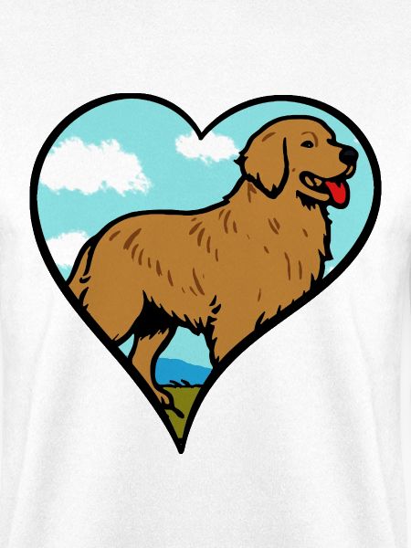 Golden Retriever Liebe Herz