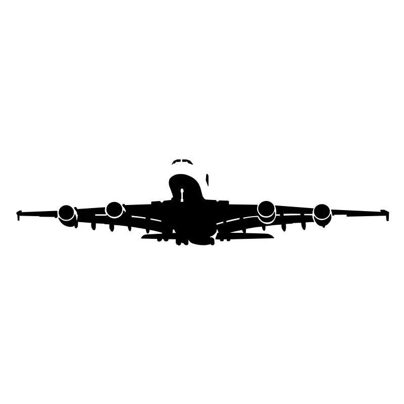 Passagierflugzeug