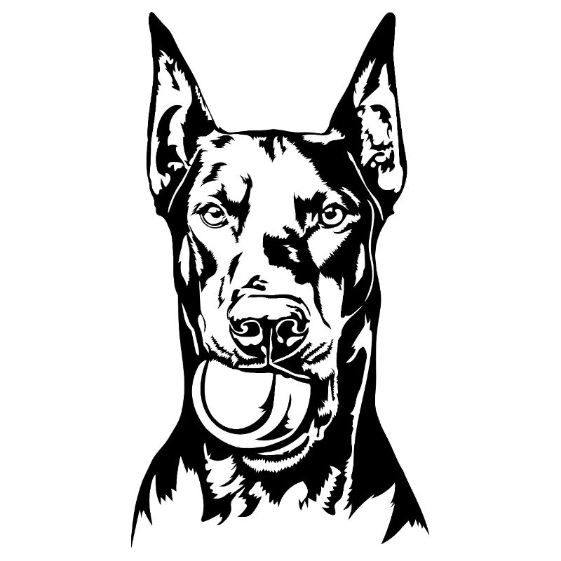 Dobermann Ball Balljunkie Hunde Wilsigns