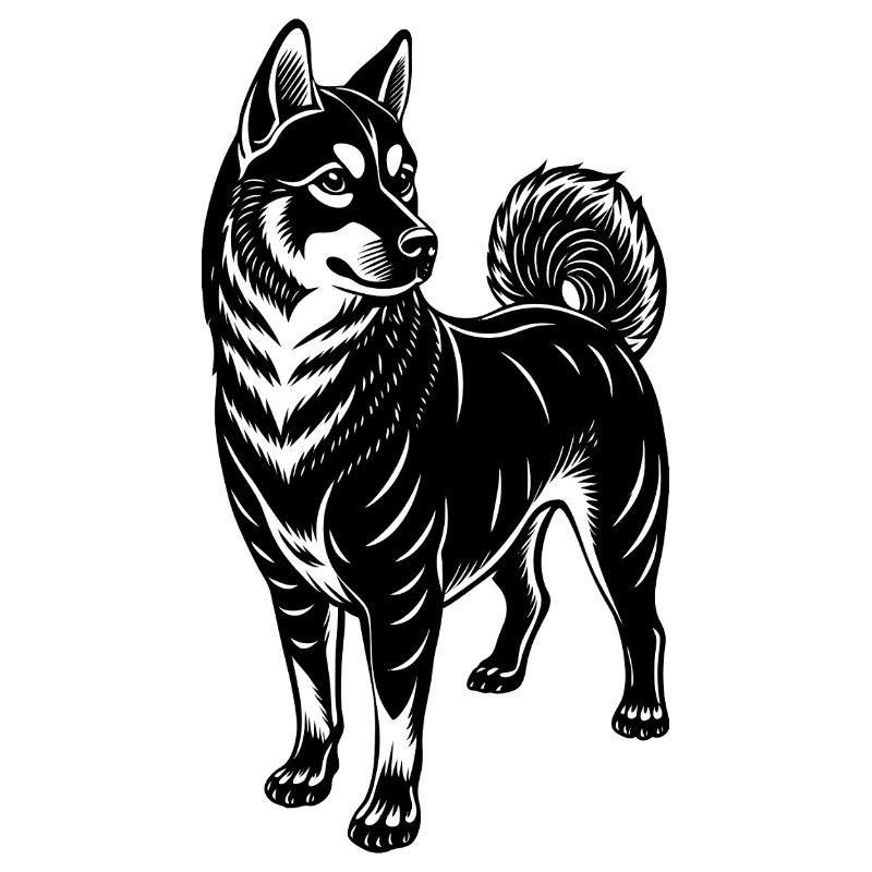 Shiba Inu