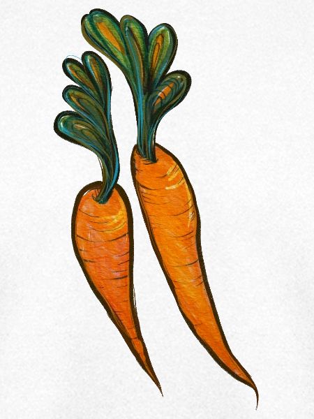 Aquarell Karottenduo-Illustration