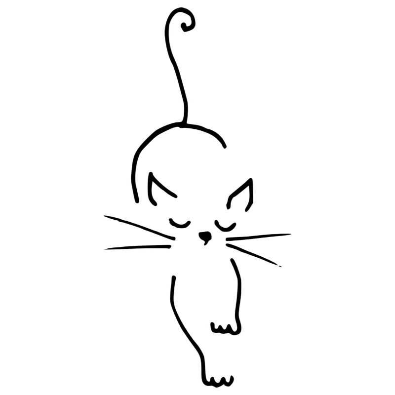 katze