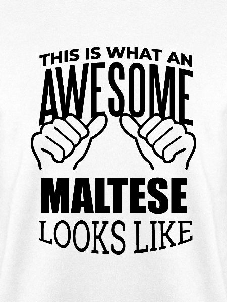 Malta Malta Malta