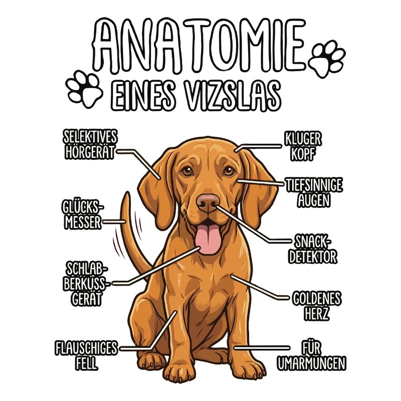 Vizsla: Die wahre Anatomie
