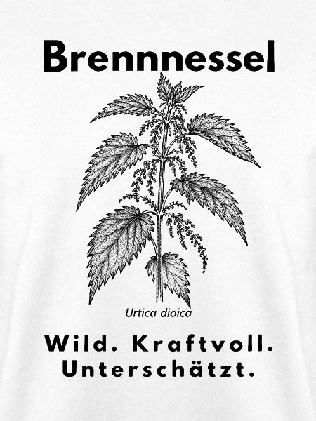 Brennnessel – Wild. Kraftvoll. Unterschätzt.