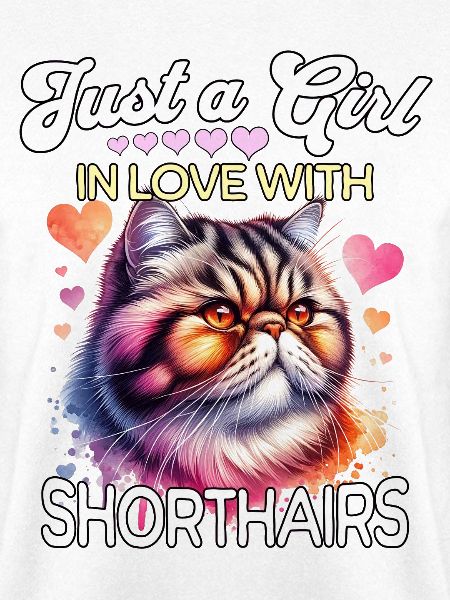Exotische Kurzhaarkatze Mädchen