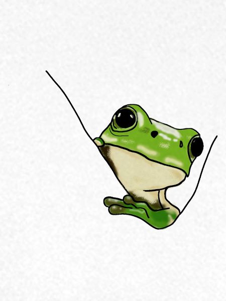 Grüner Frosch – Niedliche Illustration