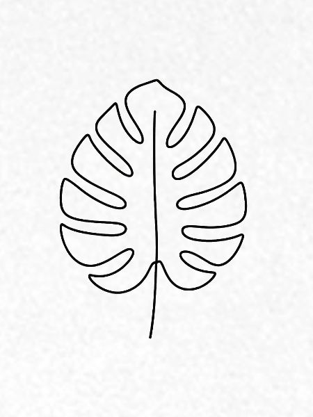 Monstera Merch Plantlover