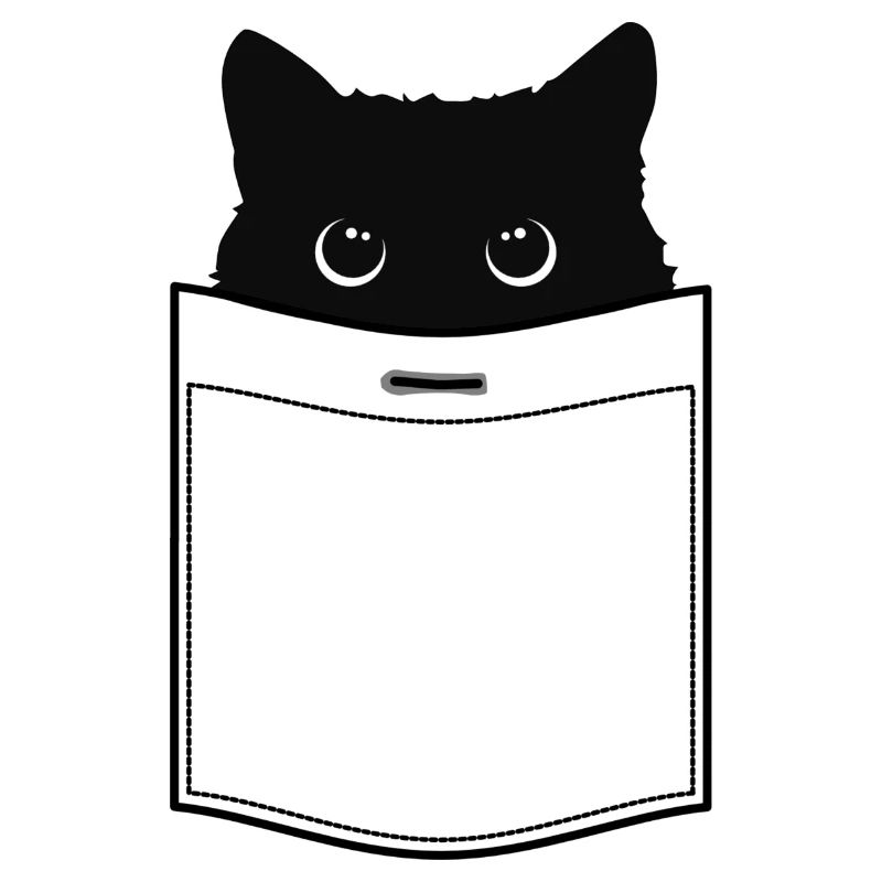 Katze in Tasche