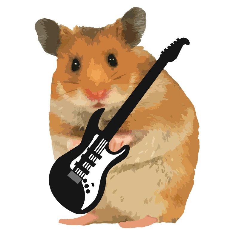 hamster gitarre rock musik