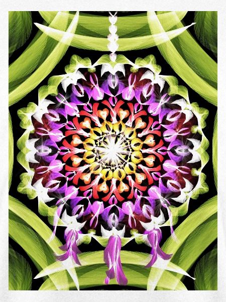 Traumfänger Blütenmandala
