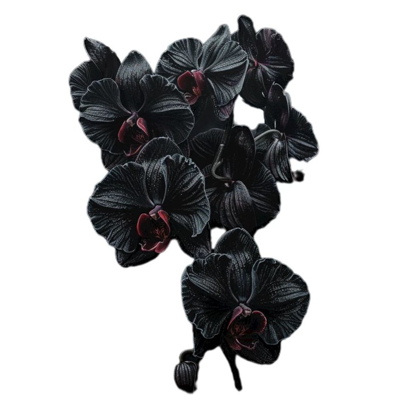 Dunkle Orchideenpracht im Gothicstil