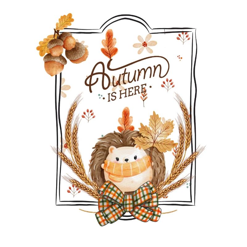 Herbst Igel Blätter Rahmen
