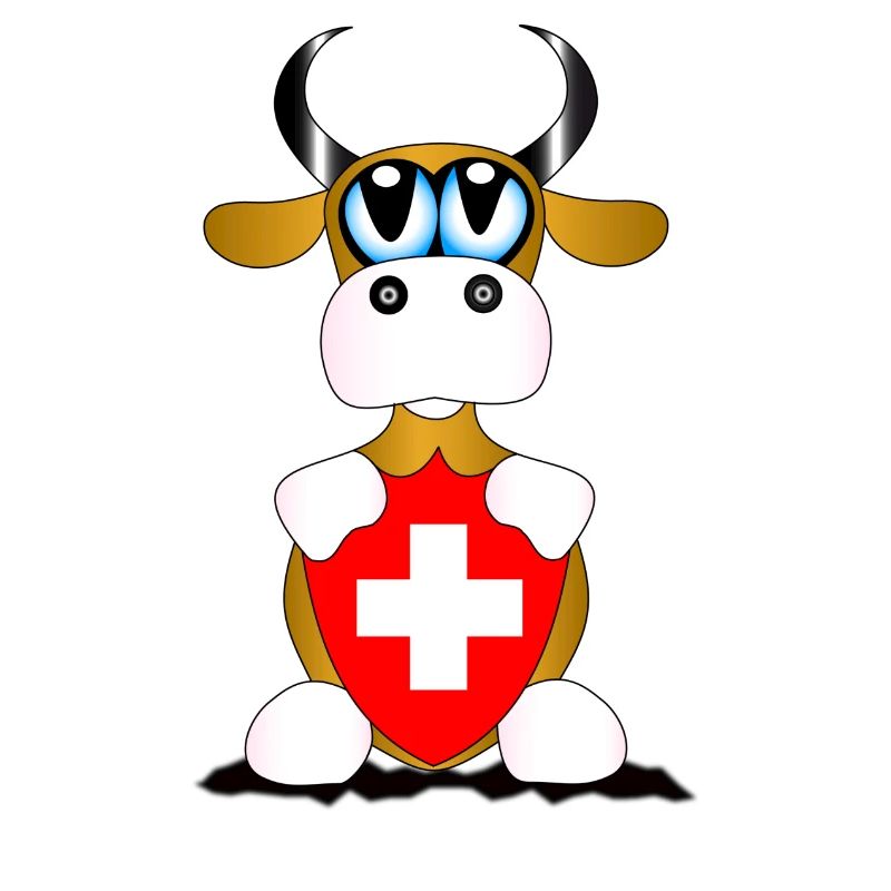 Kuh Schweiz