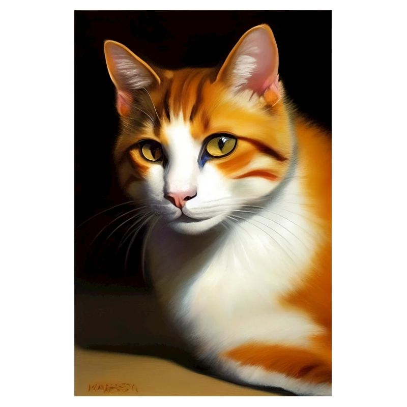 Katzen Bild