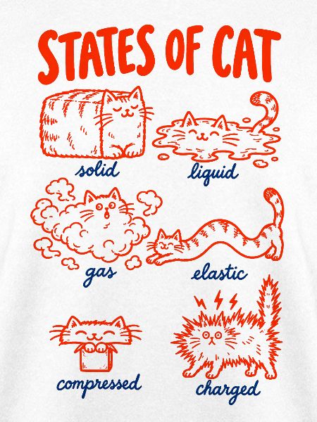 Katzenphysik – Zustände der Katze