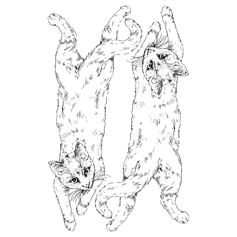 Chats