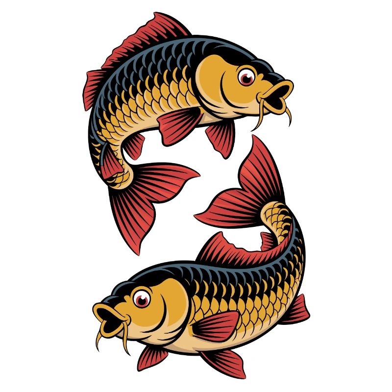 two carp